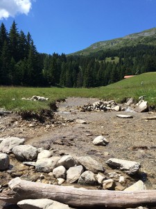 Globi-Wanderweg - Ausblick von Posten 6 (Wasser)